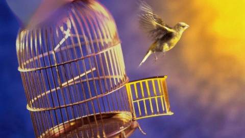 Comprendre et quitter les relations toxiques